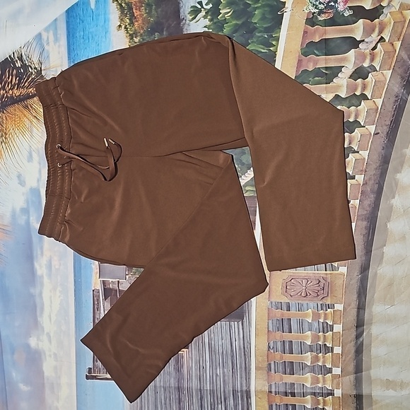 Joie Brown Pants Size Small Petite - Picture 2 of 8